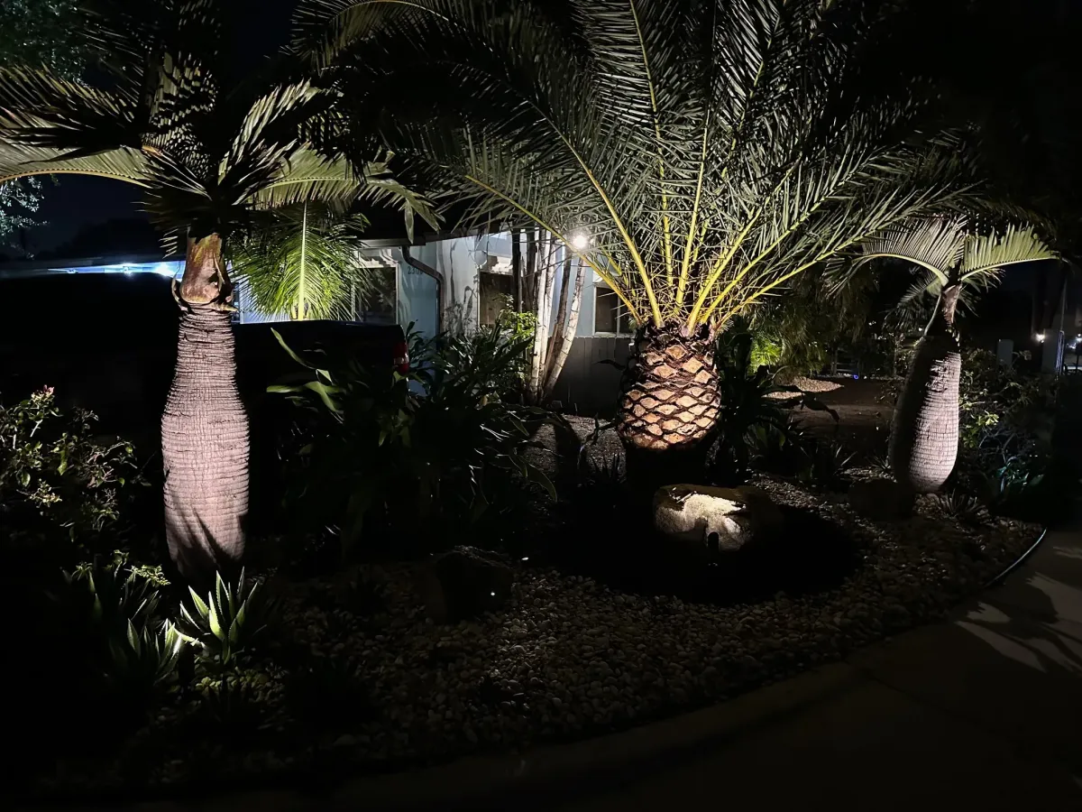 Landscape lighting and palm tree care in Deerfield Beach – Quality Lawncare & Landscaping