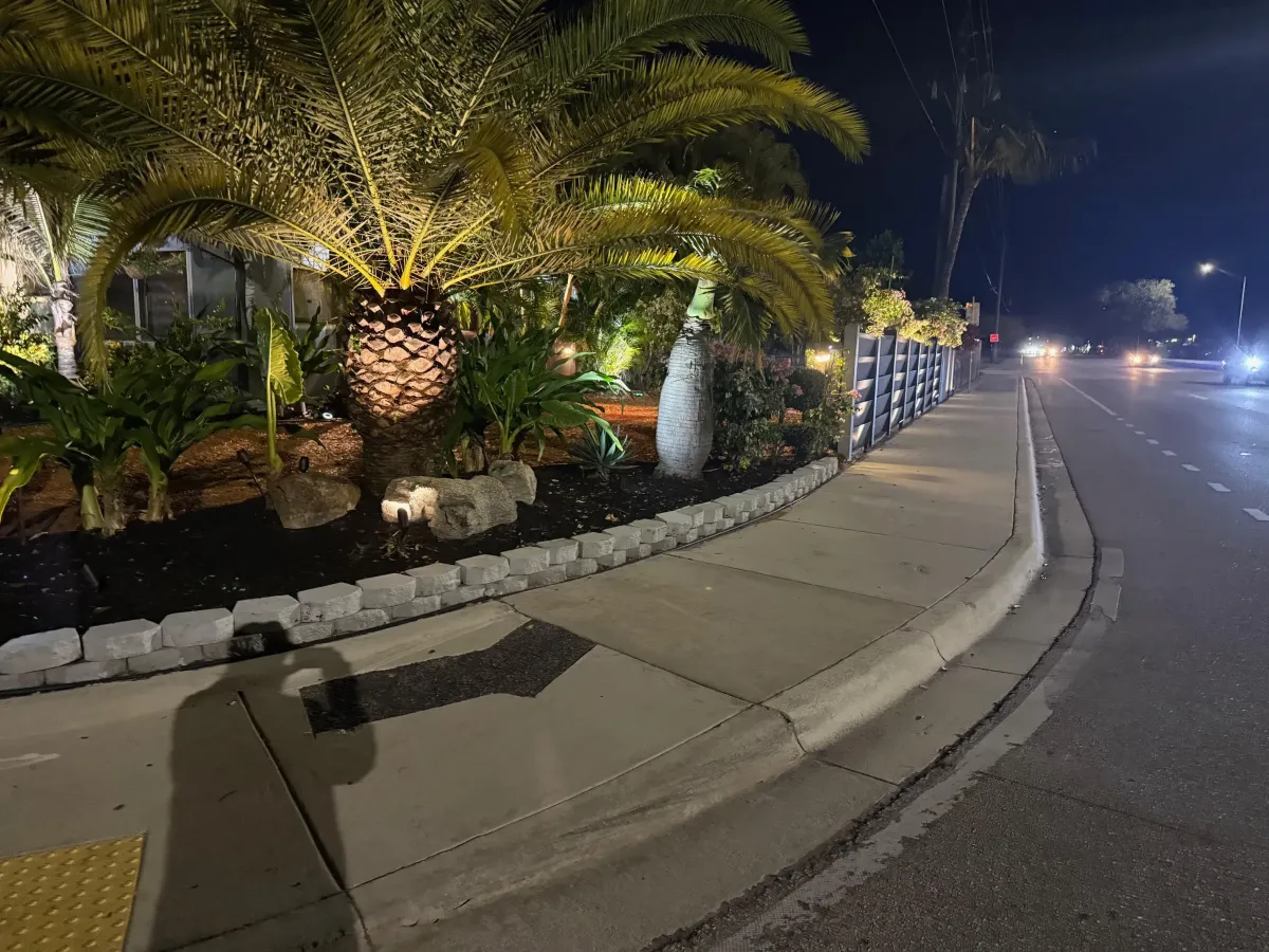 Outdoor landscape lighting and palm trees in Deerfield Beach – Quality Lawncare