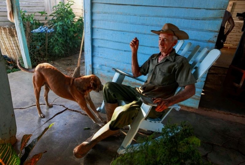 More than a pet: why veterans and dogs work so well together