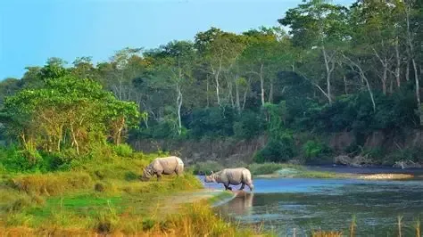 Chitwan National Park
