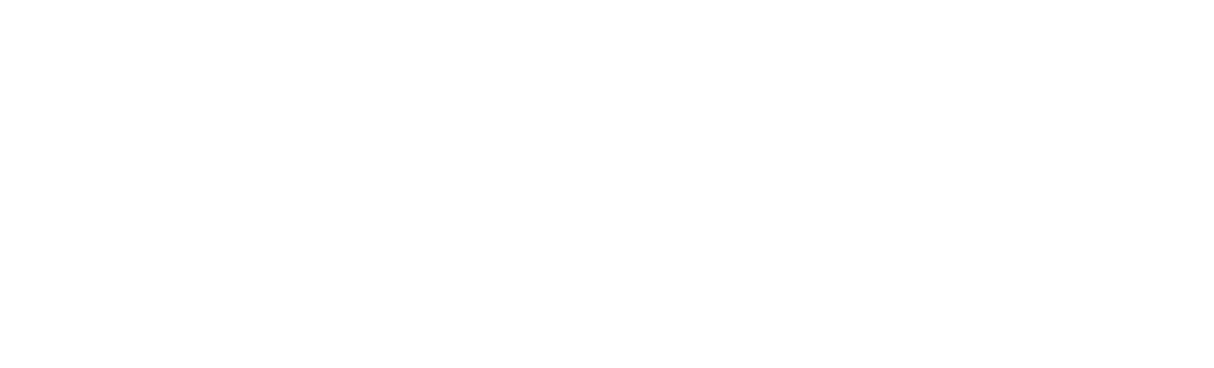 30 Day Leader Logo