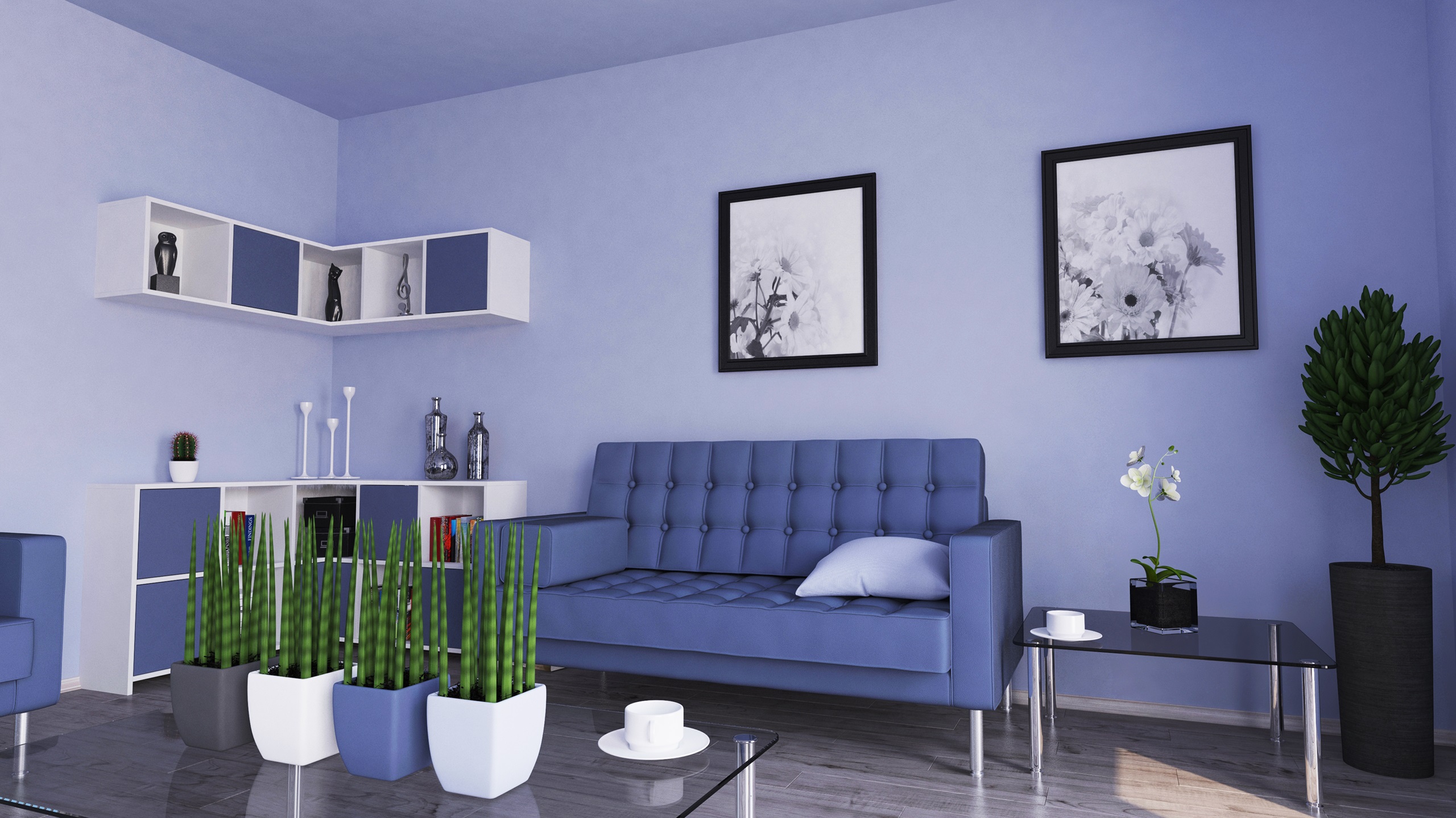Gallery image 4
