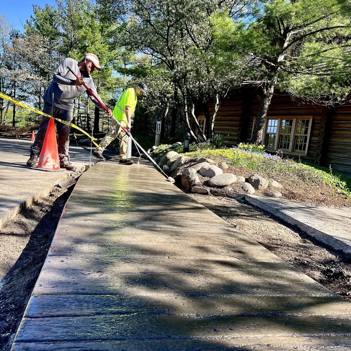 Concrete crew finishing a freshly poured sidewalk beside a landscaped property.
