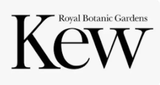 Brand photography for London