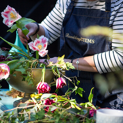 personal branding for a florist close up of tulips