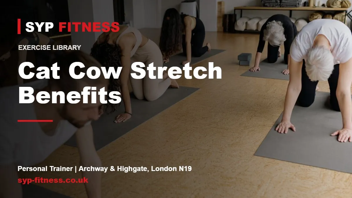 Group doing yoga stretches in a studio - Cat Cow Stretch benefits, SYP Fitness personal trainer in Archway, London N19
