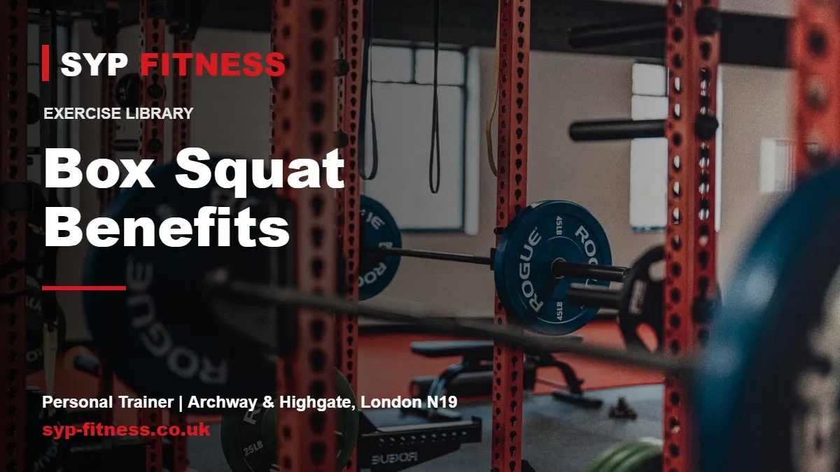 Barbells and weight plates in a gym - Box Squat benefits, SYP Fitness personal trainer in Archway, London N19