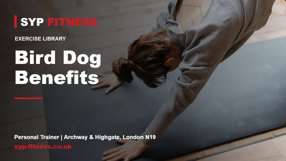 Woman exercising on a mat indoors - Bird Dog benefits, SYP Fitness personal trainer in Archway, London N19