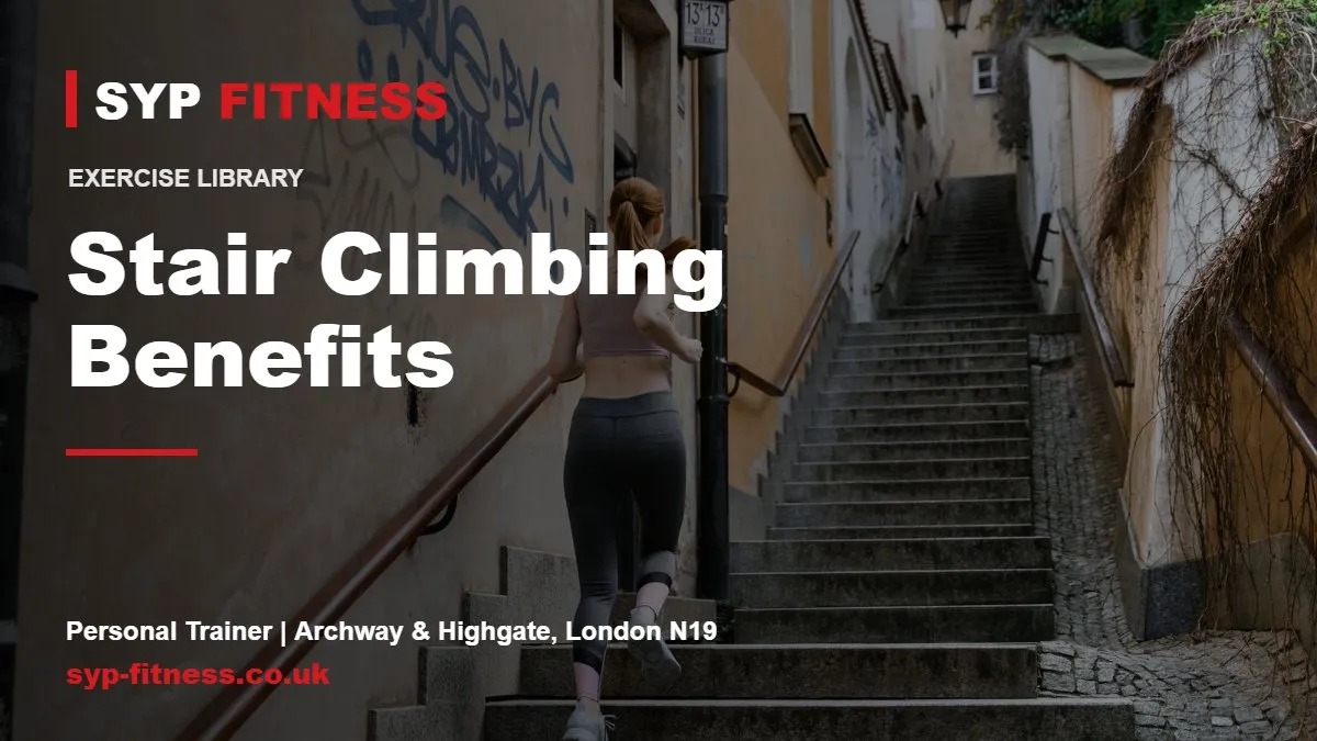 Stair Climbing Benefits: Why Take the Stairs and How To