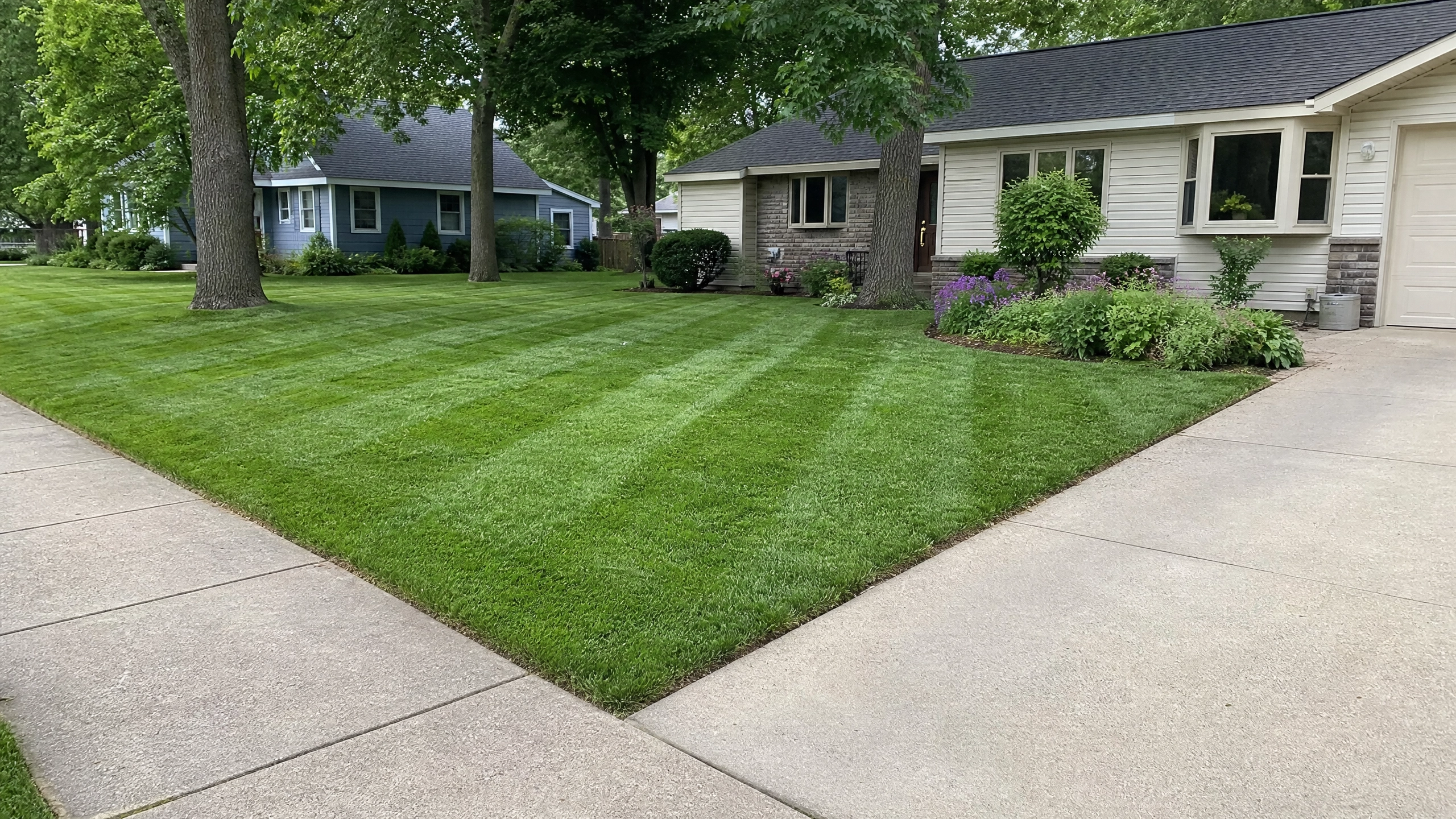 Lawn Care Madison, WI