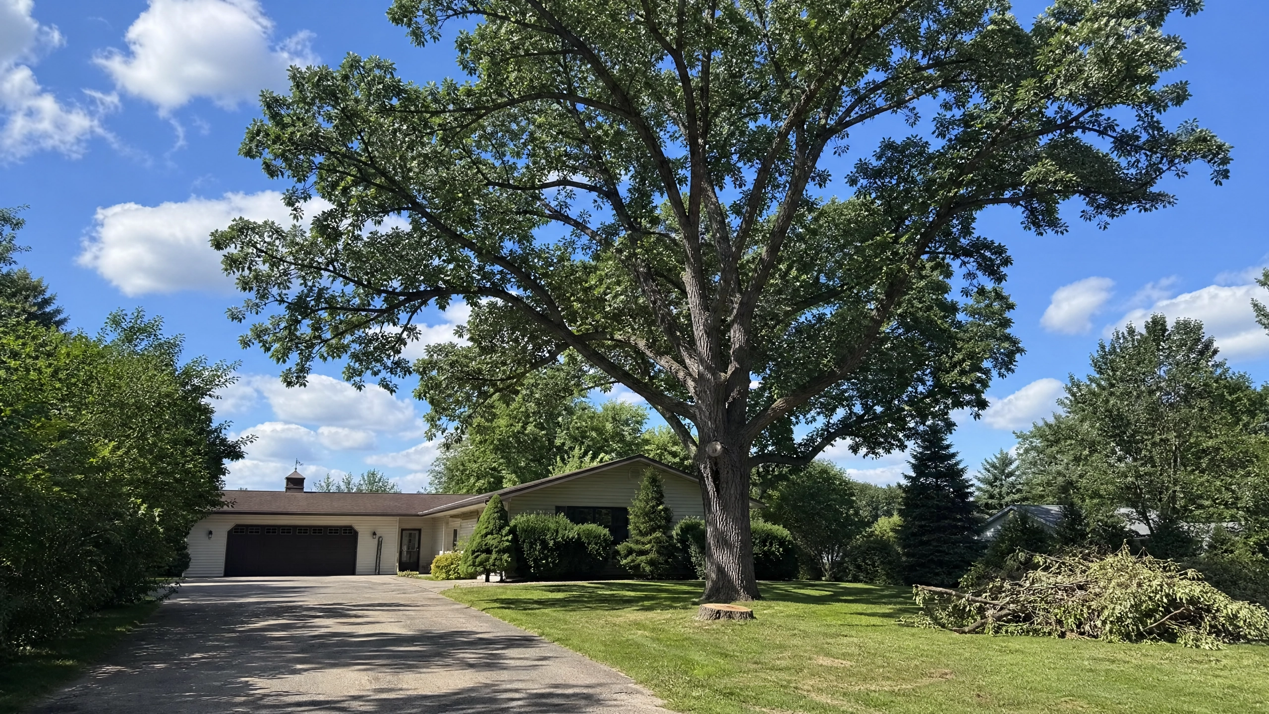 Madison, WI Tree Trimming & Pruning