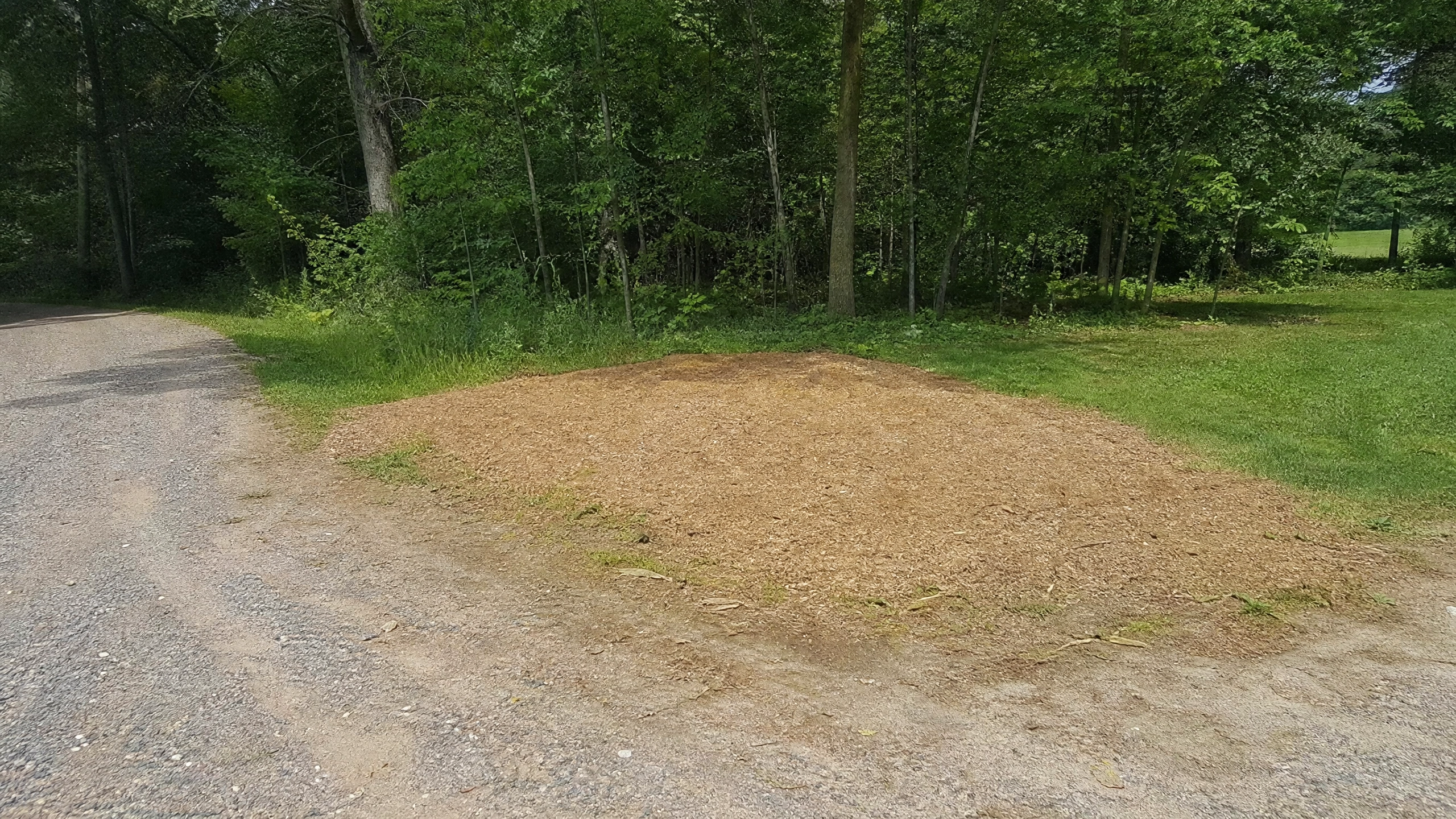 Verona, WI Tree Stump Grinding