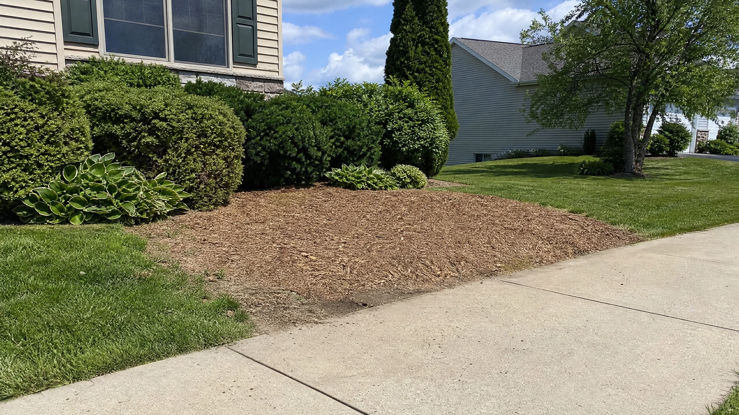 Madison, WI Tree Stump Grinding