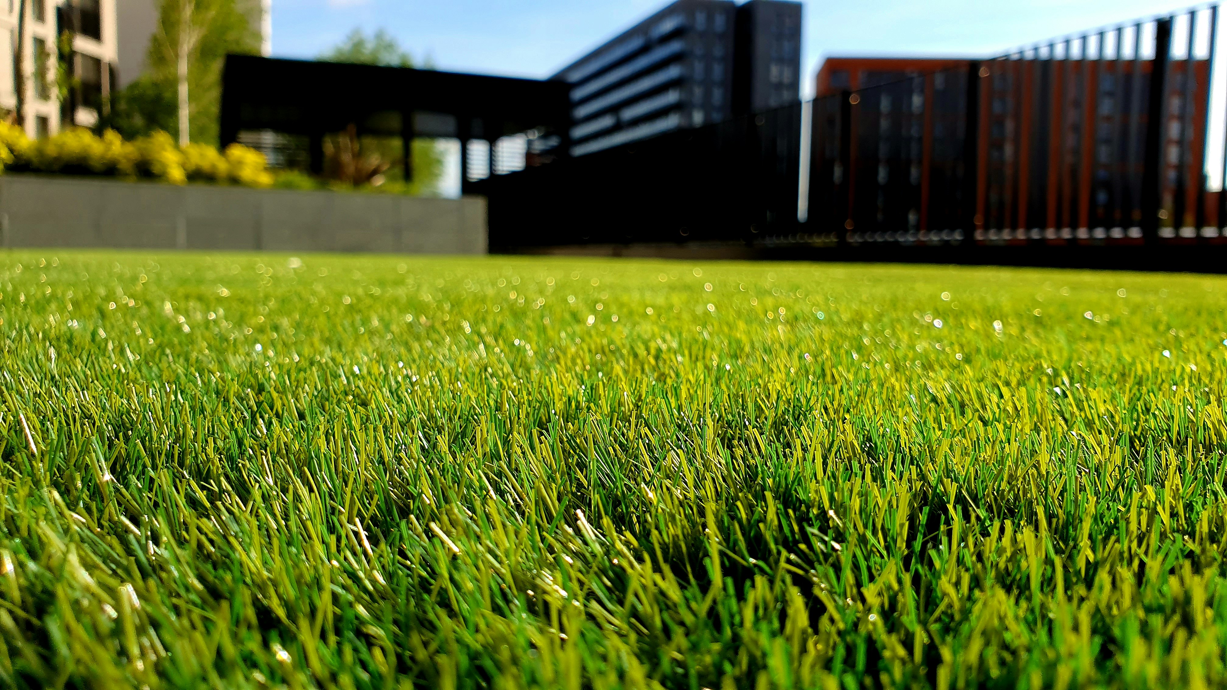 zoom in on uniformly cut grass with buildings and fences in the backdrop