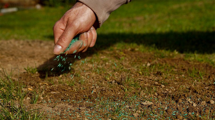 sprinkling seeds over soil