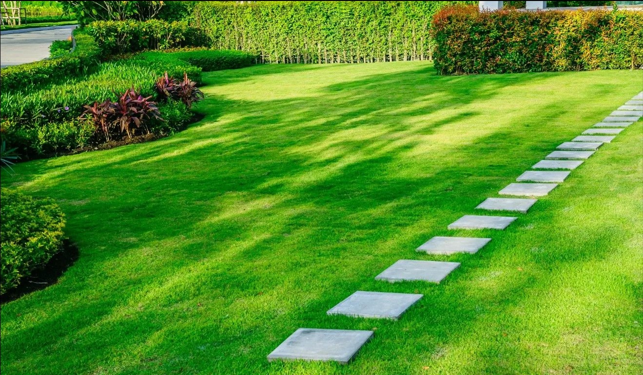 garden with stepping stones and plants with well cut yard