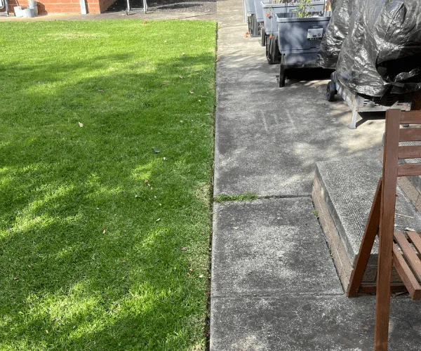 Hedge Trimming Ballarat