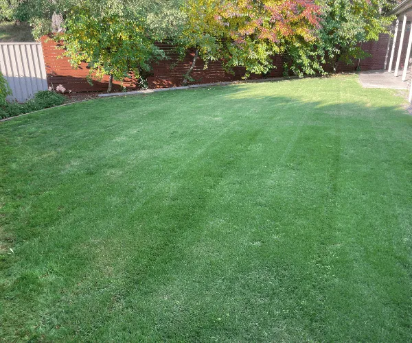 Lawn Mowing 