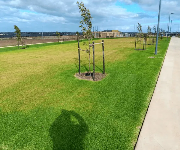 Hedge Trimming Ballarat