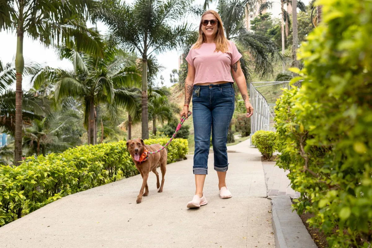 Why Does My Dog Listen at Home but Ignore Me Outside? | Palm Coast Dog Trainingog Post