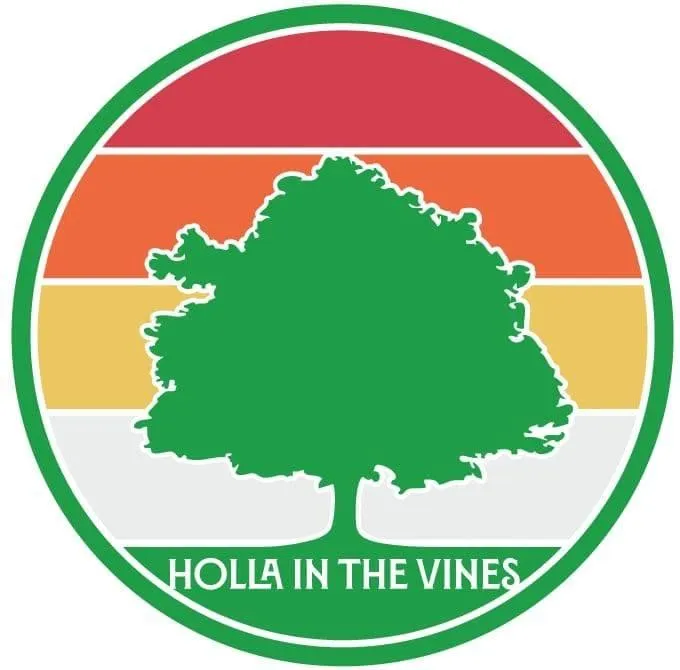 Gin Mill Hollow - Live Music