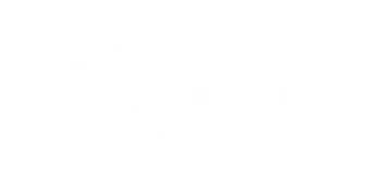 The Max Effect Logo