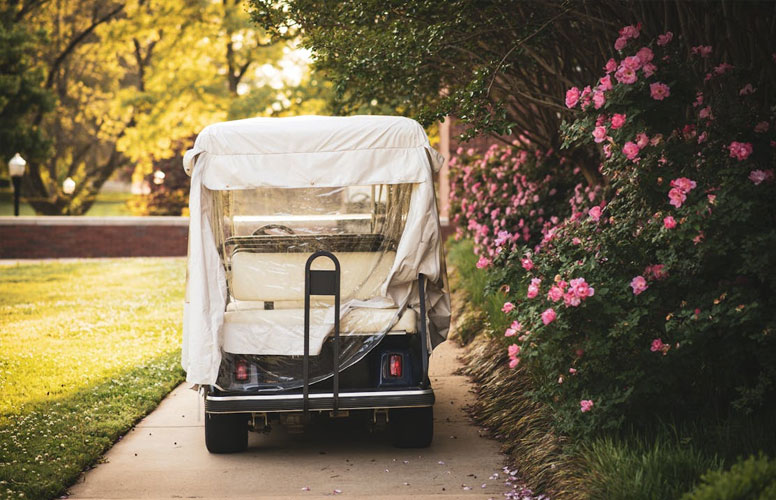 Golf Cart Detailing in North Lauderdale
