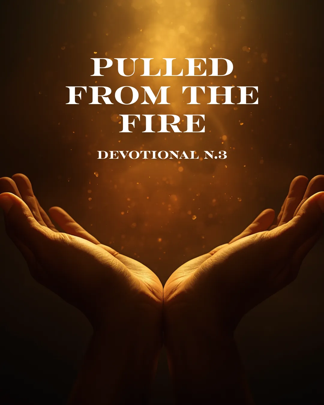 Pulled From the Fire