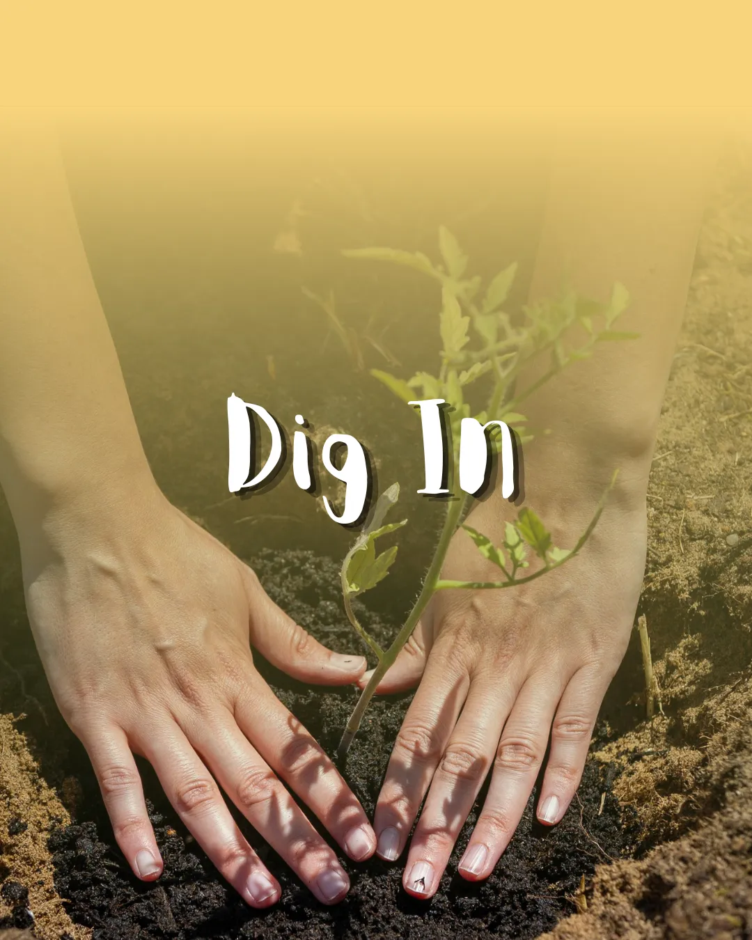 Dig In