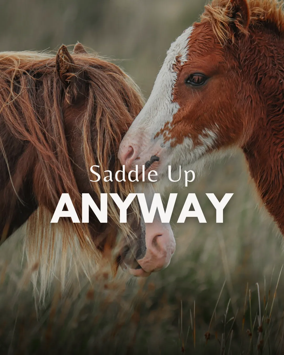 Saddle Up Anyway