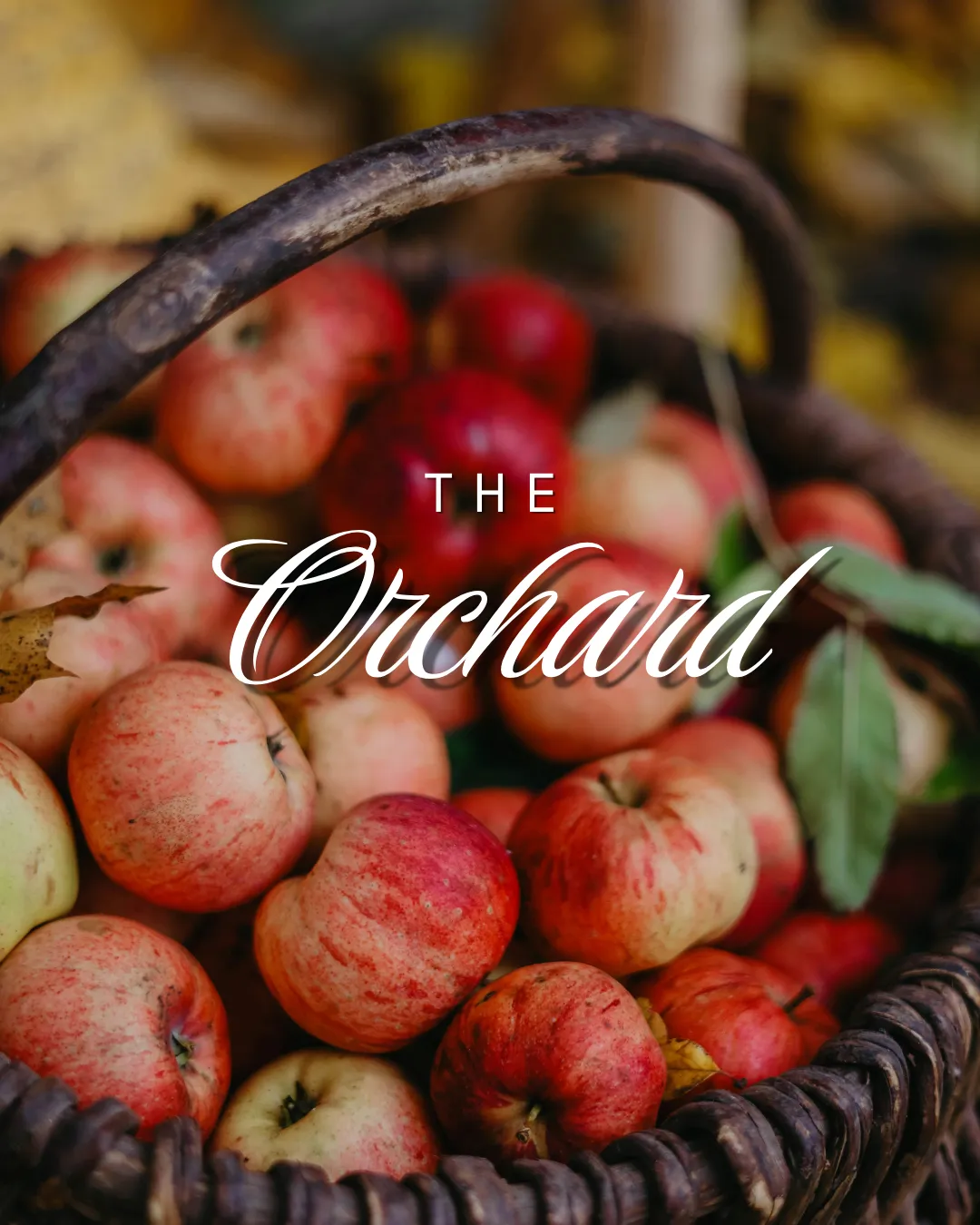 The Orchard