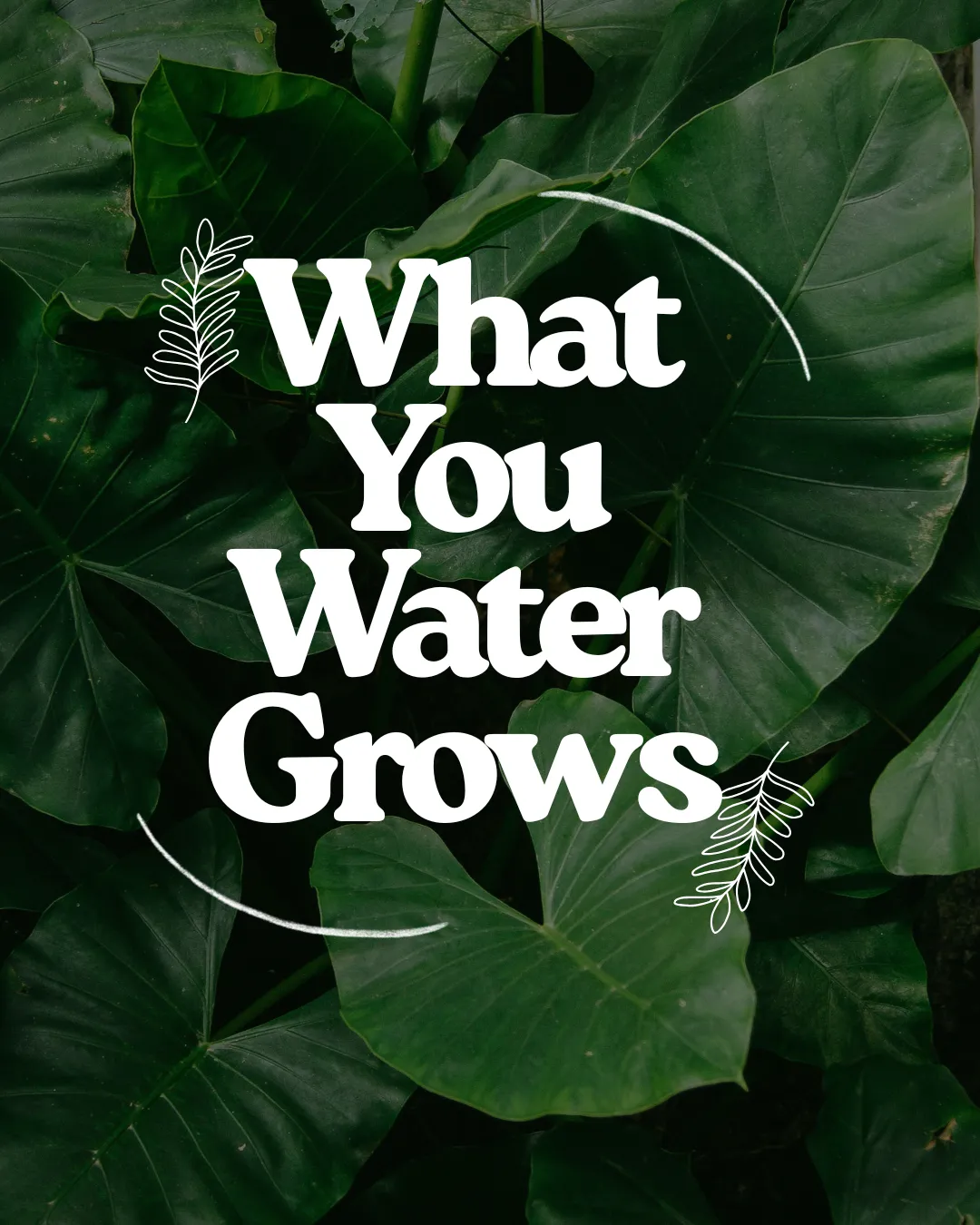 What You Water Grows