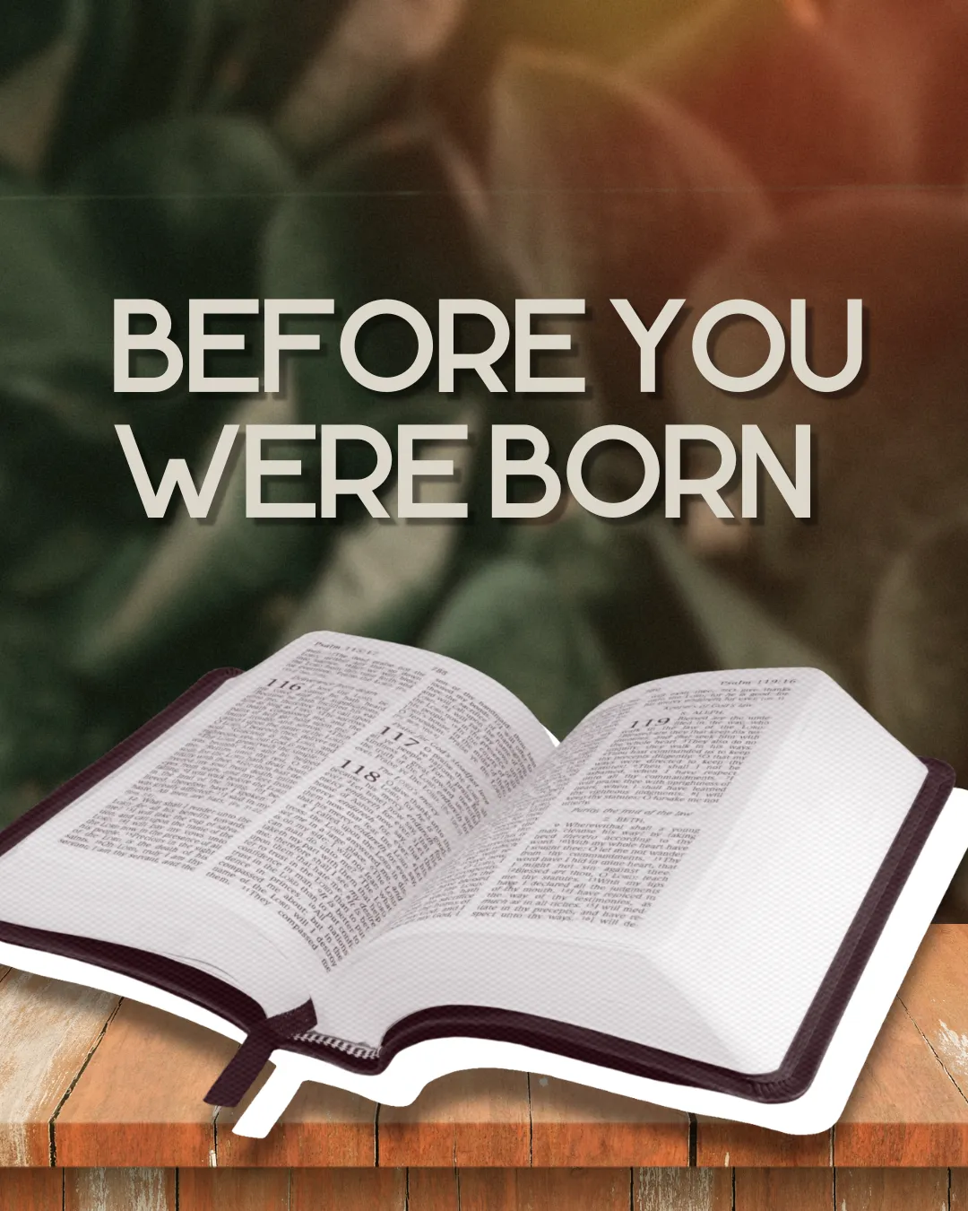 Before You Were Born