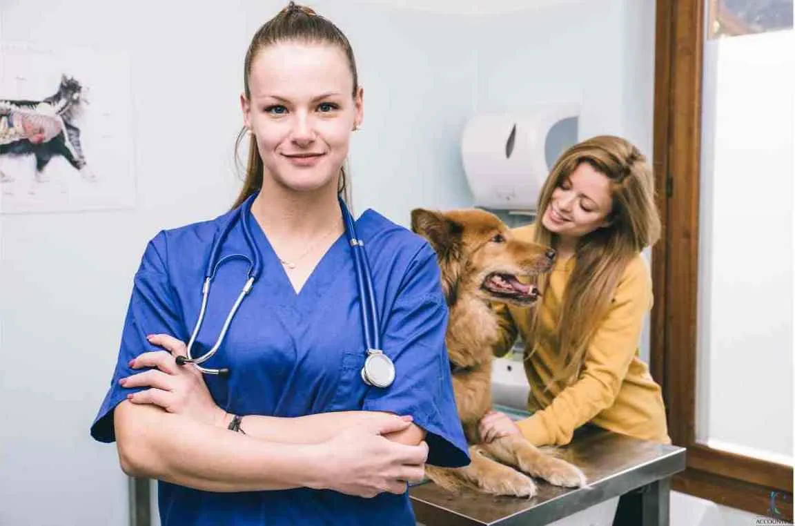 veterinary bookkeeping