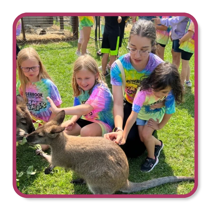 Summer Camp at Rosebrook Wixom
