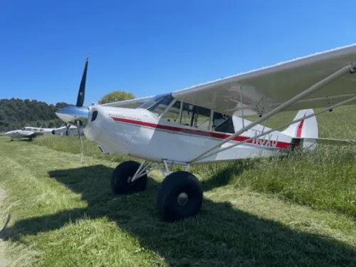 Transaction Management And Escrow Coordination in Troy