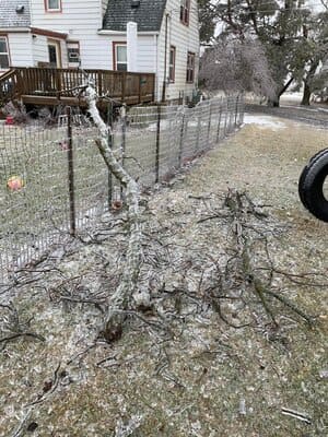 {{ custom_values.service_3 }} in {{custom_values.area_5})