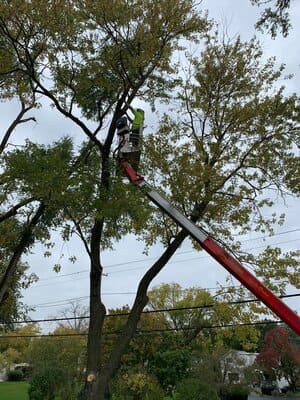 {{ custom_values.service_1 }} in {{custom_values.area_3})