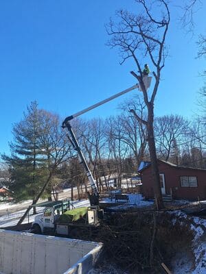 Landclearing in Waterford