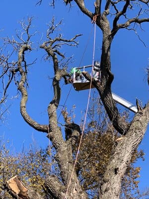 {{ custom_values.service_1 }} in {{custom_values.area_2})