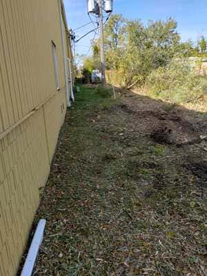 Stump Grinding in Waterford