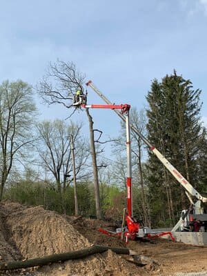 {{ custom_values.service_3 }} in {{custom_values.area_6})