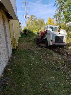 Tree Trimming in Burlington