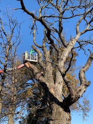 {{ custom_values.service_4 }} in {{custom_values.area_2})