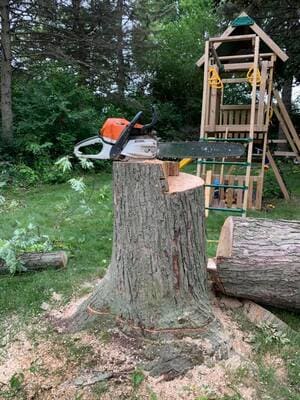 Landclearing in Burlington