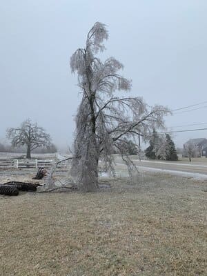 {{ custom_values.service_4 }} in {{custom_values.area_4})