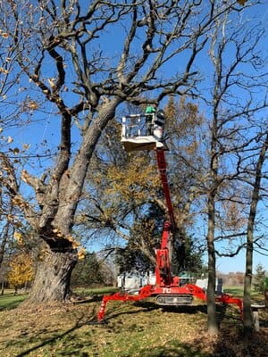 {{ custom_values.service_2 }} in {{custom_values.area_2})