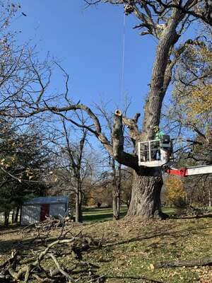 {{ custom_values.service_1 }} in {{custom_values.area_1})