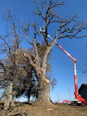 {{ custom_values.service_3 }} in {{custom_values.area_2})