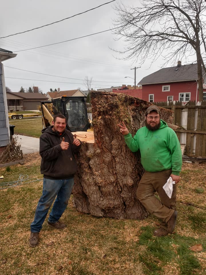landscaping in Burlington